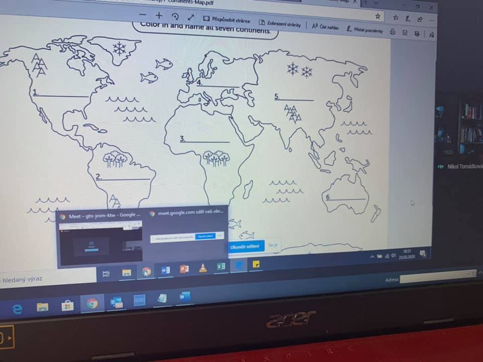 Online výuka