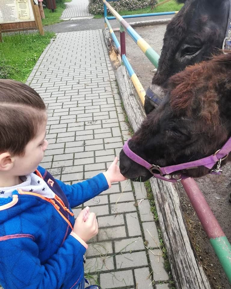 Návštěva dětského ranče v Hlučíně