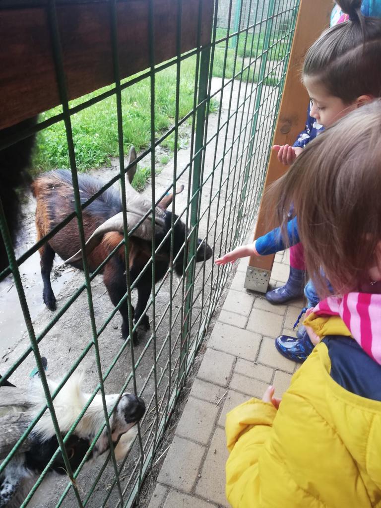 Návštěva dětského ranče v Hlučíně