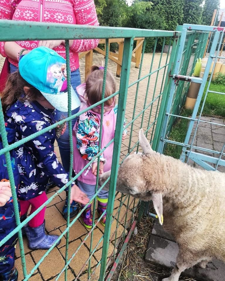 Návštěva dětského ranče v Hlučíně