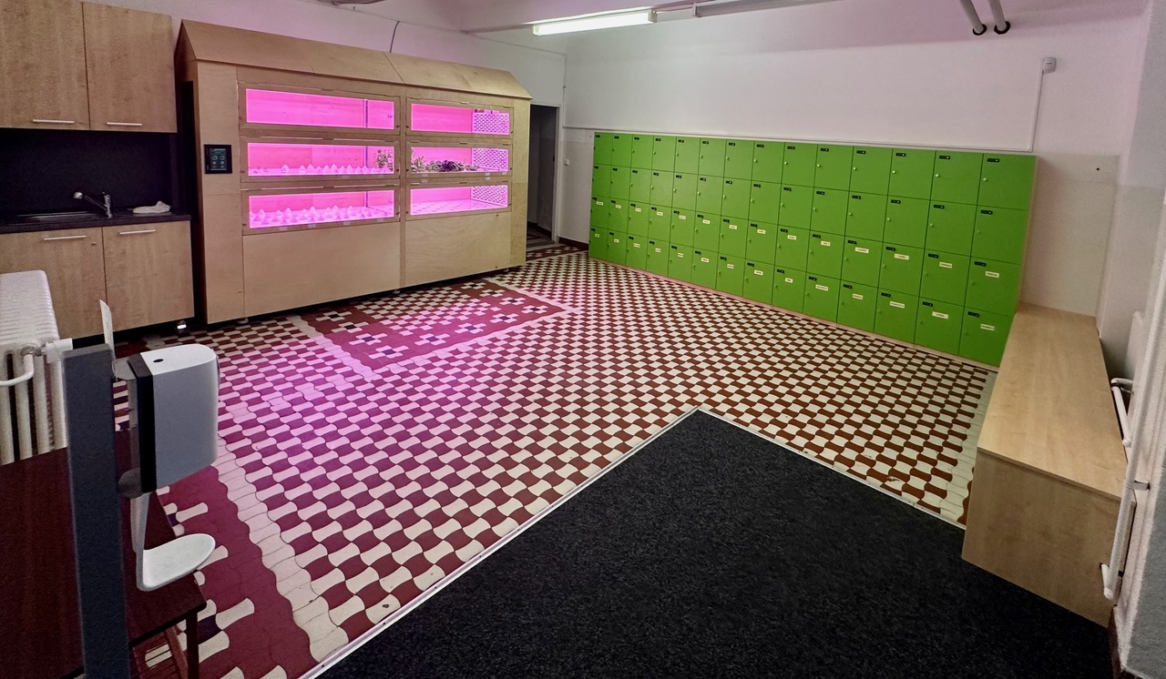 První hydroponická farma v Montessori škole