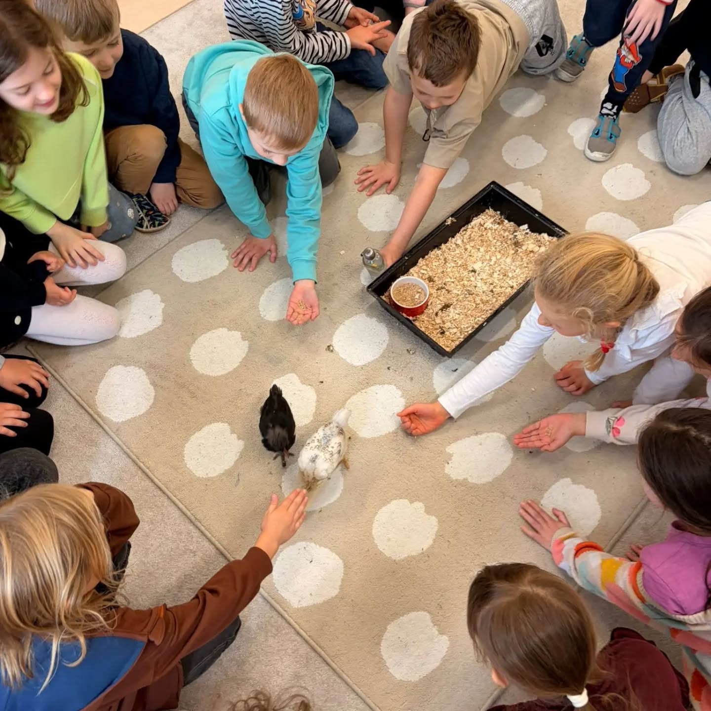 Projektový týden v 1. trojročí a předškoláků