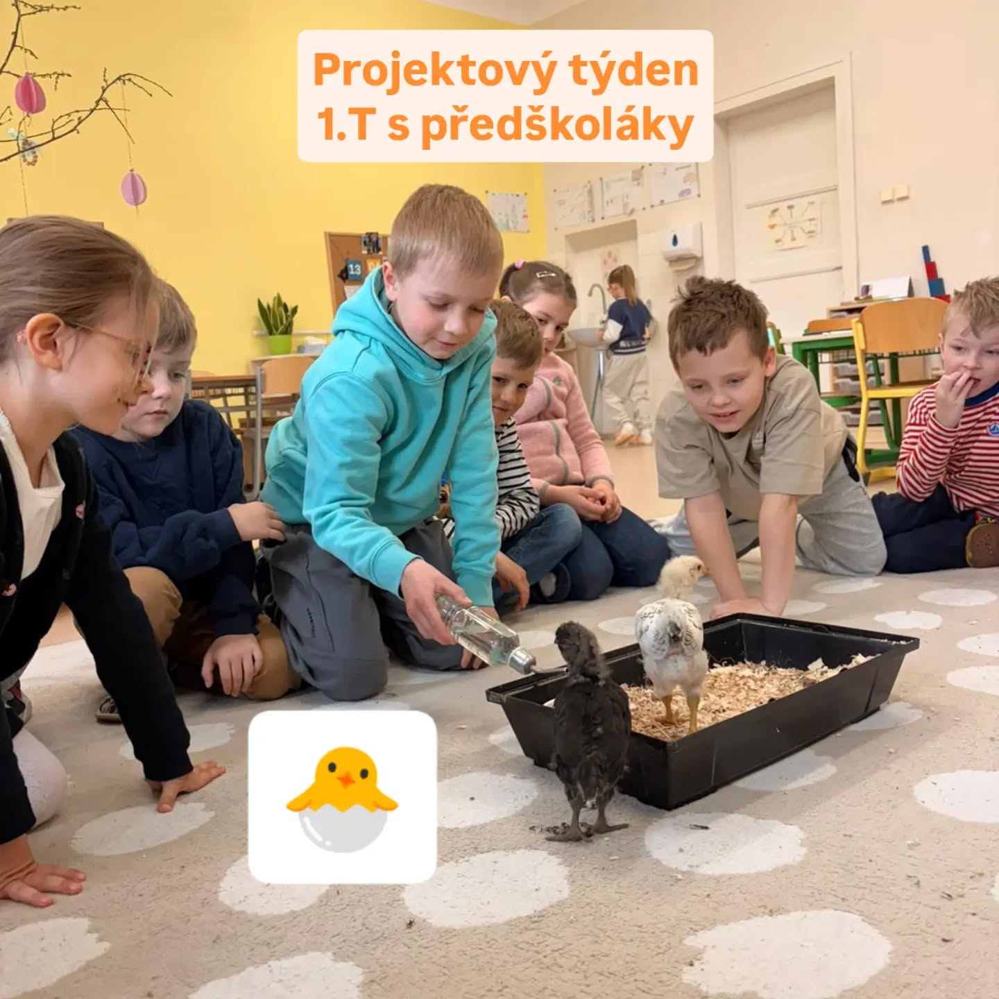 Projektový týden v 1. trojročí a předškoláků